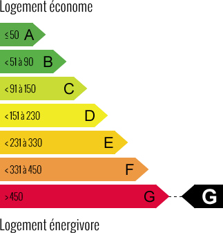 Diagnostic de Performance Energétique (DPE) - France Immobilier